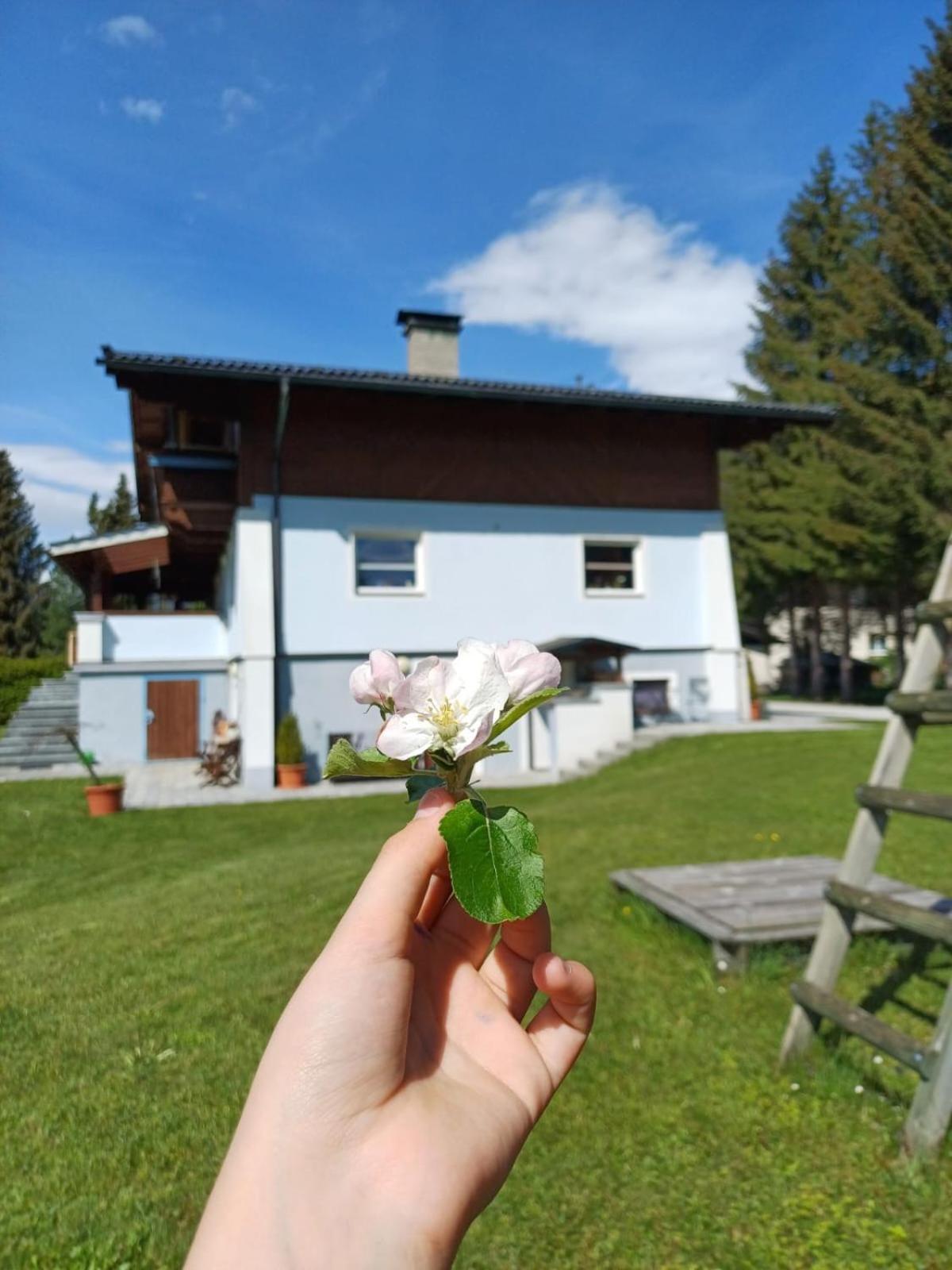 Appartements Am See Neukirchen am Großvenediger Exterior foto